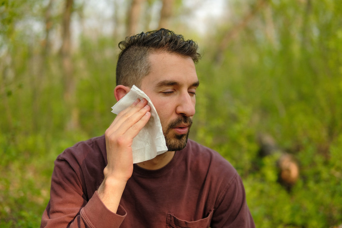 Unscented Micellar Facial Cleansing Wipes